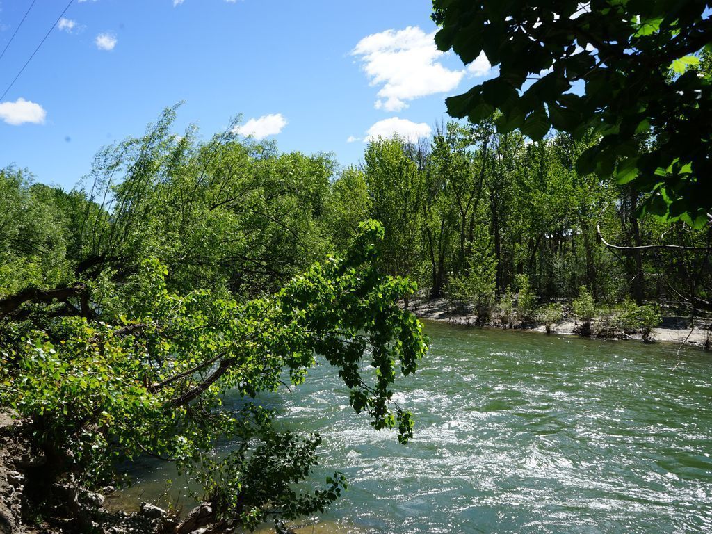 Ein Fluss, umgeben von dichtem Grün und Bäumen.