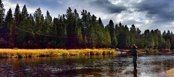 Golden Stone Inn