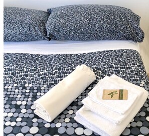 Free toiletries, hair dryer, towels