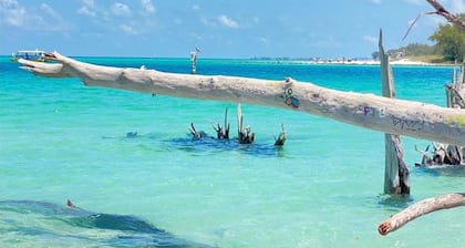Bord de l'eau Bay -Canal! Tiki Bar 5 BR 2 King Sleeprs, 5 BA piscine chauffée, 2 cuisine