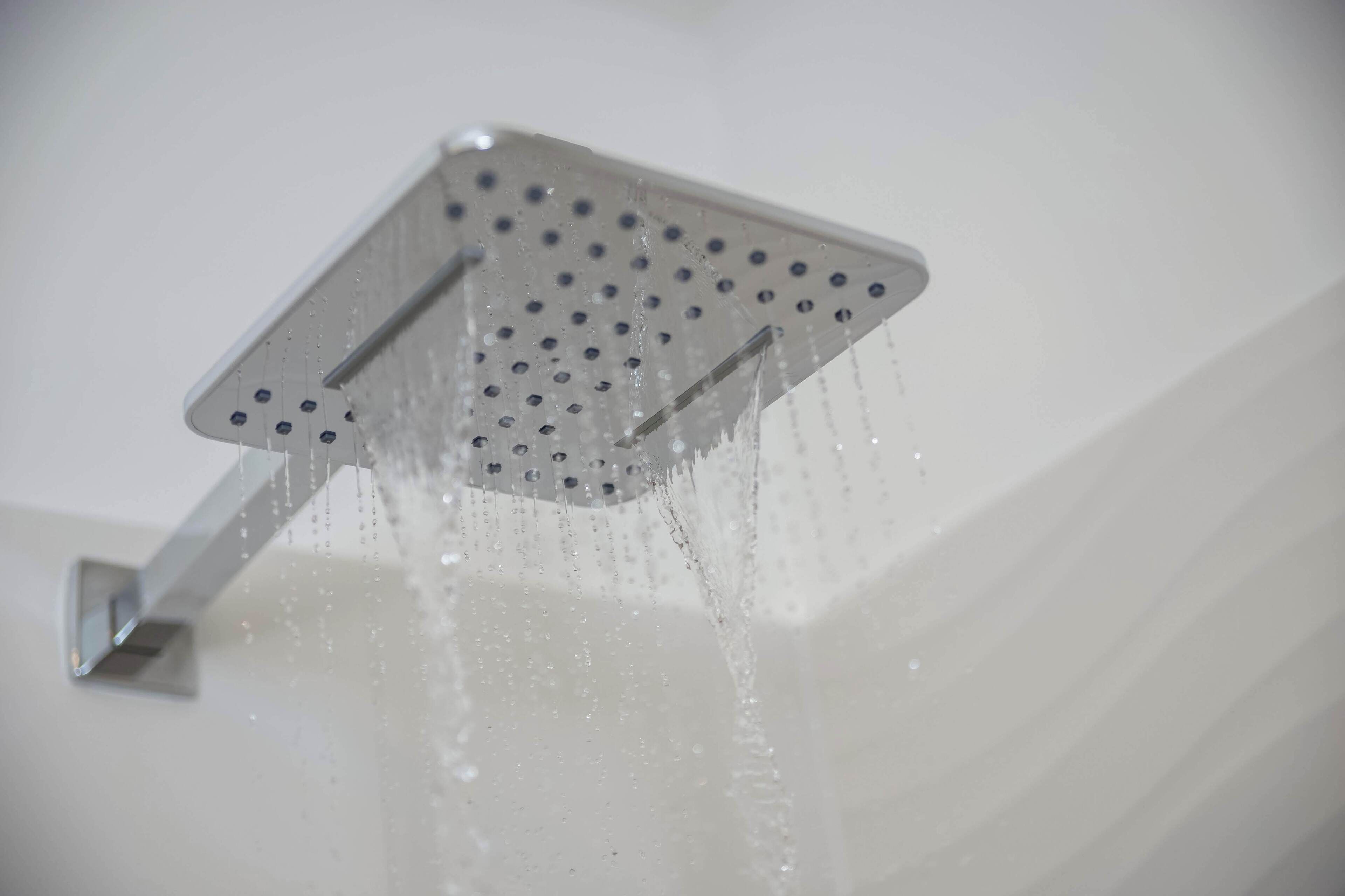 Un pommeau de douche d'où jaillit de l'eau.