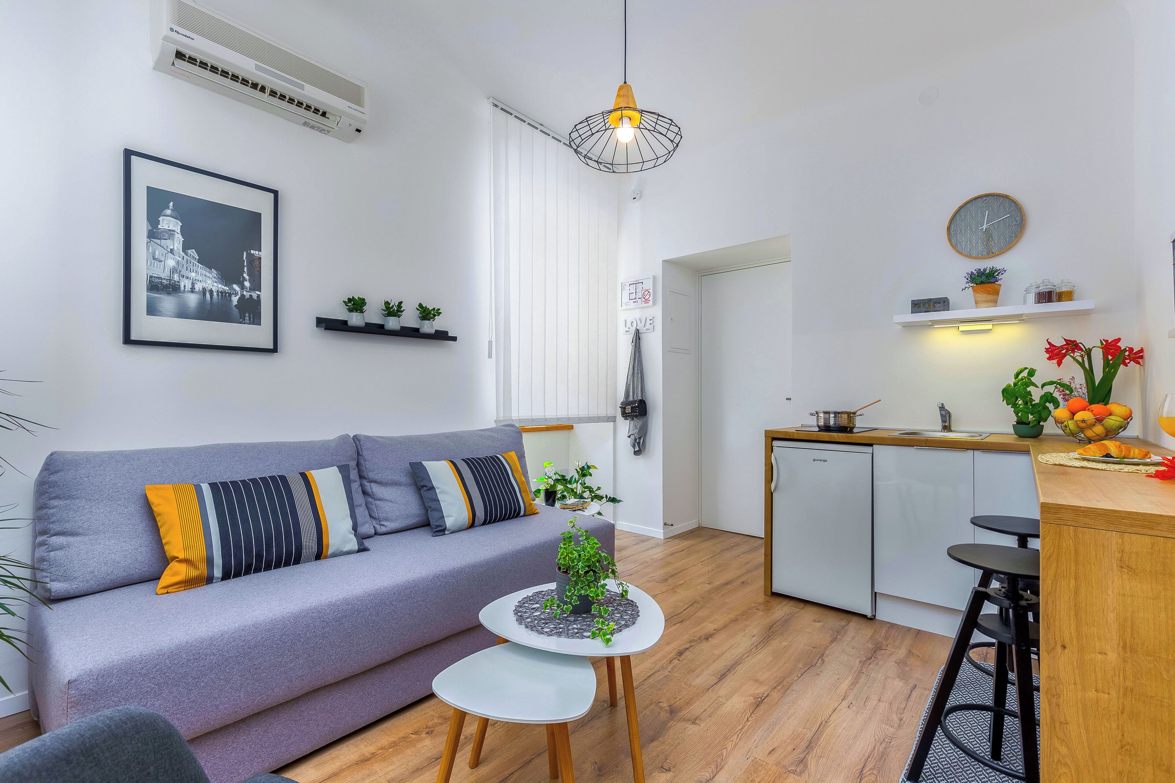 Deluxe Apartment, 1 Queen Bed with Sofa bed, Non Smoking, Kitchenette | Private kitchenette | Fridge, stovetop, coffee/tea maker, electric kettle