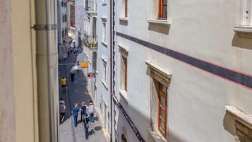 Vista desde la habitación
