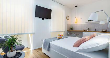 Rijeka Apartments TERRA I & II in the Old Town