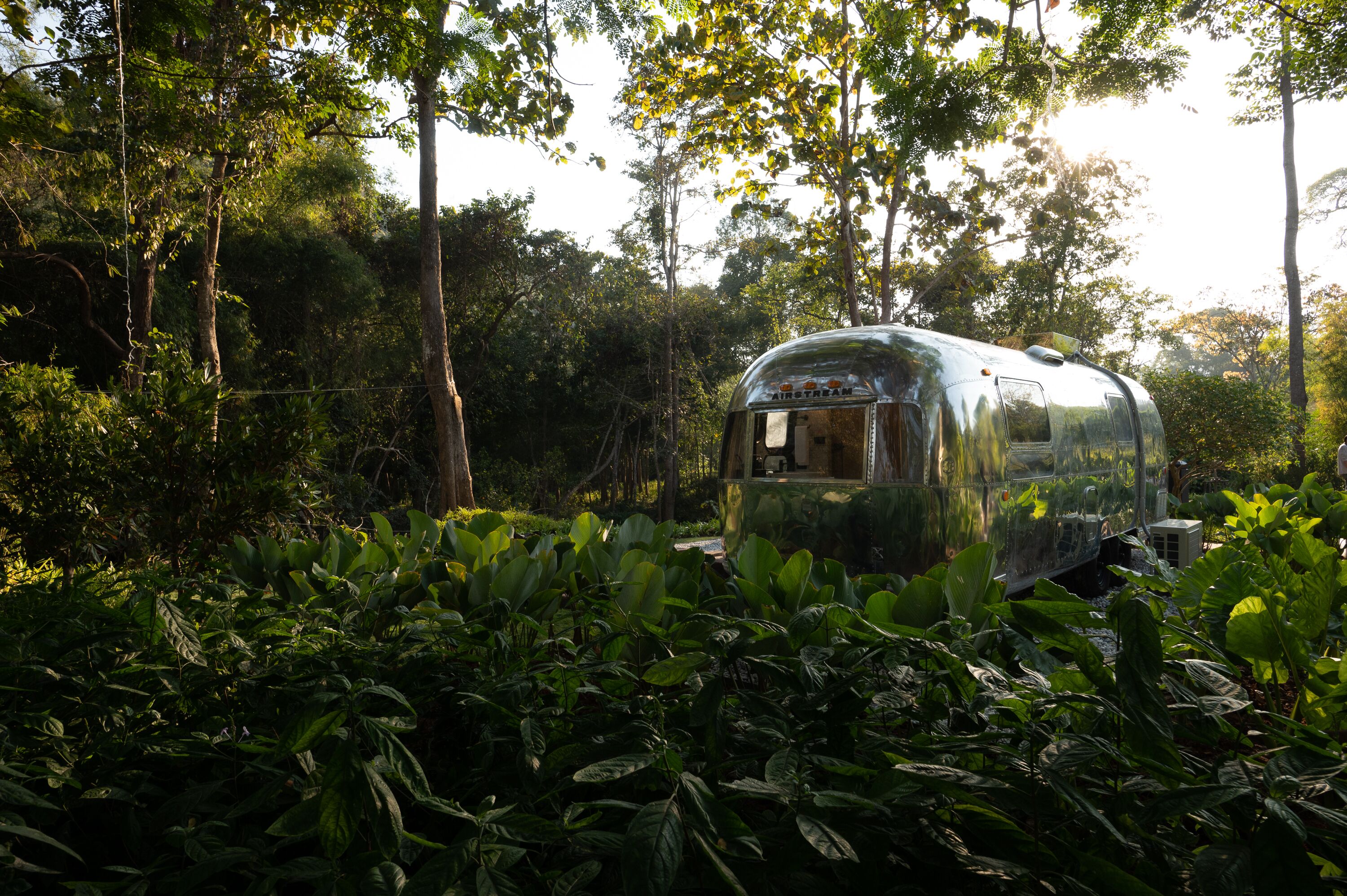 comfort cabin | garden view