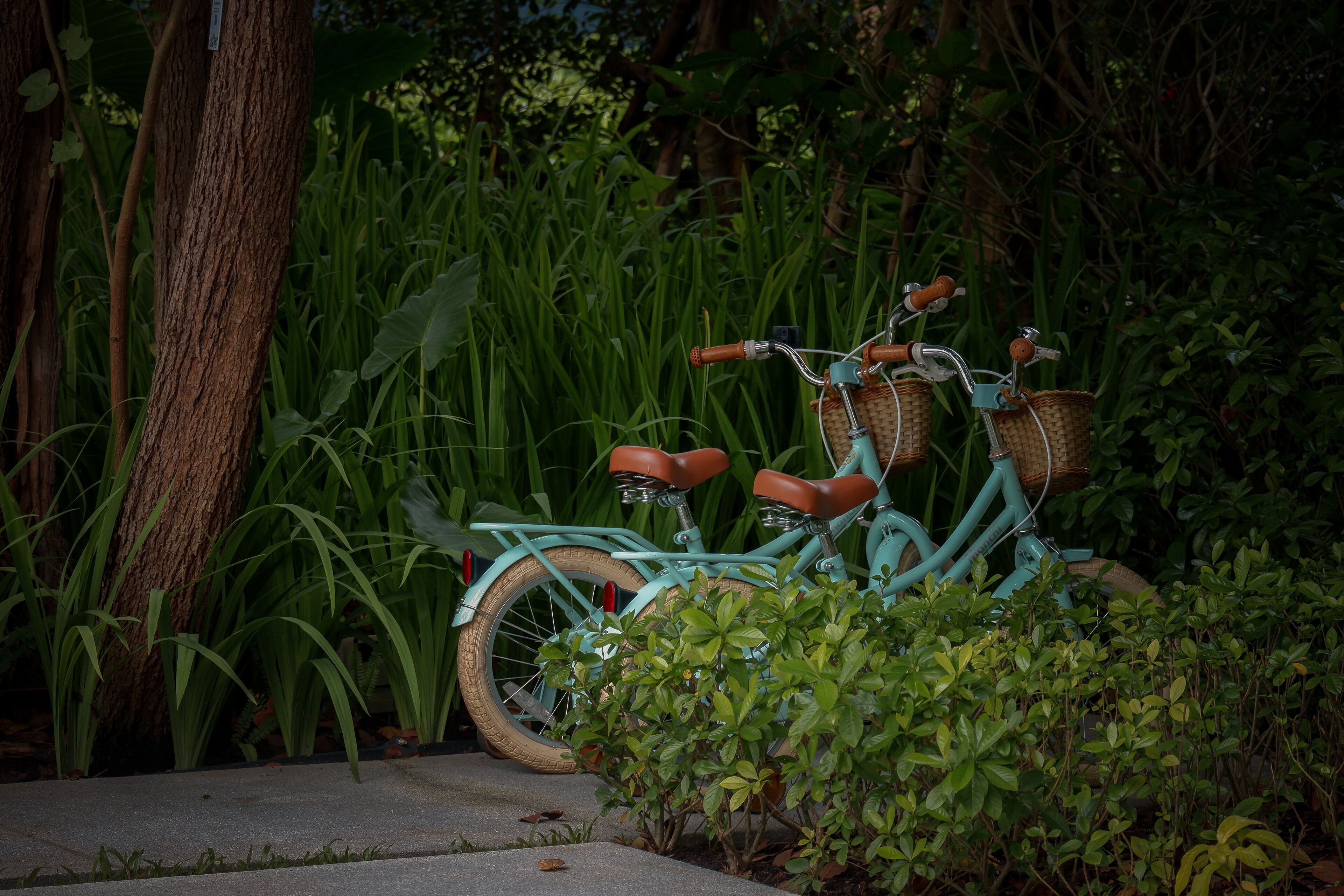 children’s activities