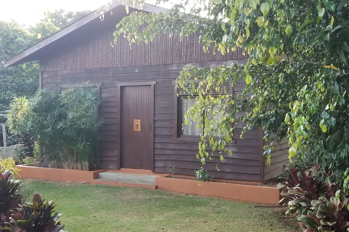 Une maison en bois avec une porte d’entrée, une petite fenêtre et un jardin où poussent différentes plantes.