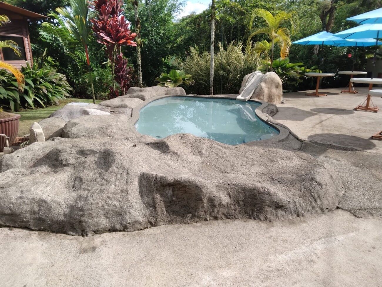 Una piscina con diseño de roca natural, rodeada de plantas tropicales y mobiliario exterior.