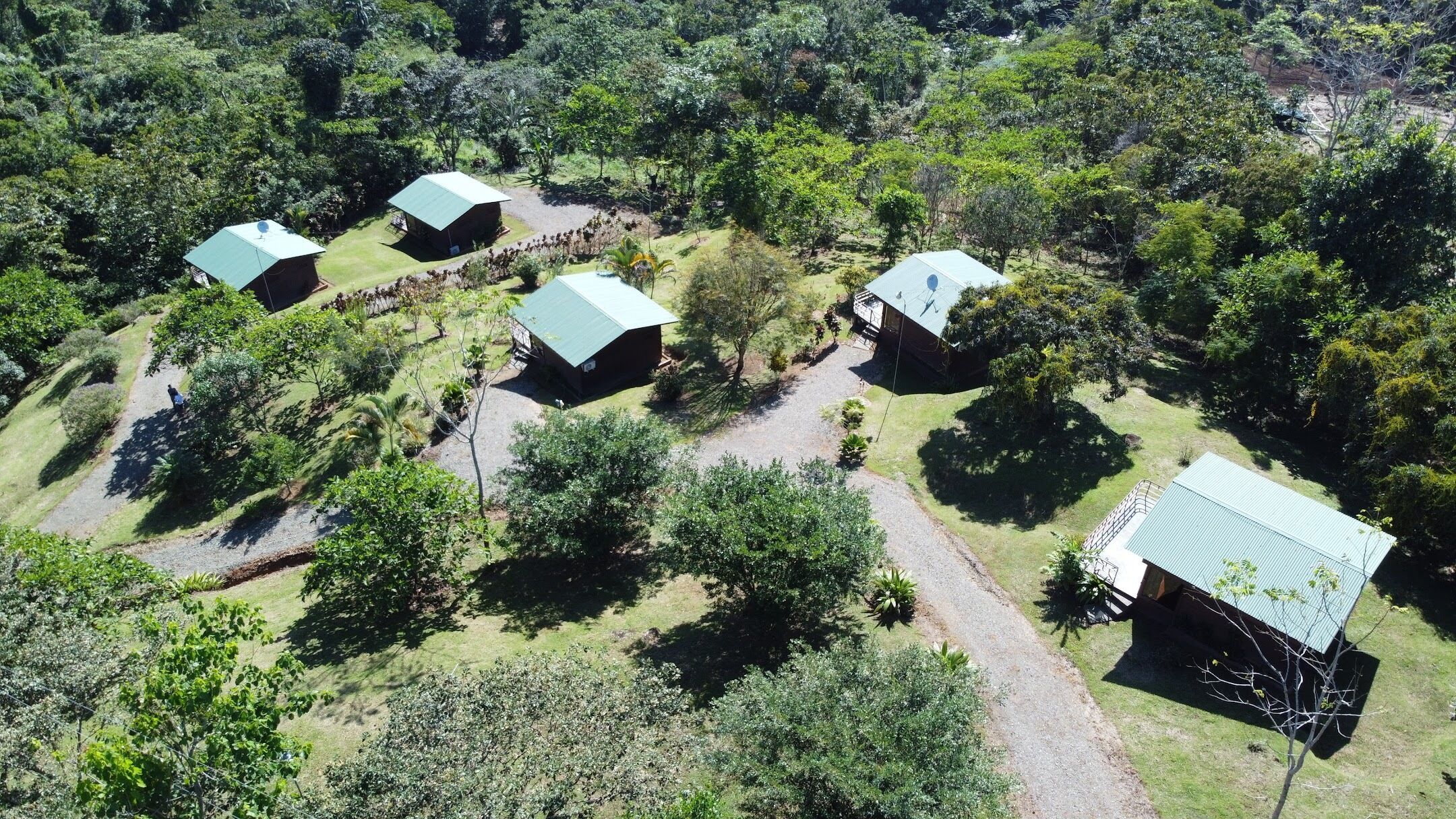 Panoramic Cabin, 1 Bedroom, Private Bathroom, Mountain View | Memory foam beds, individually decorated, individually furnished