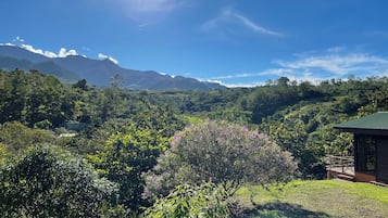 Hiking