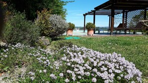 Un jardín con plantas en flor y una estructura de pérgola.