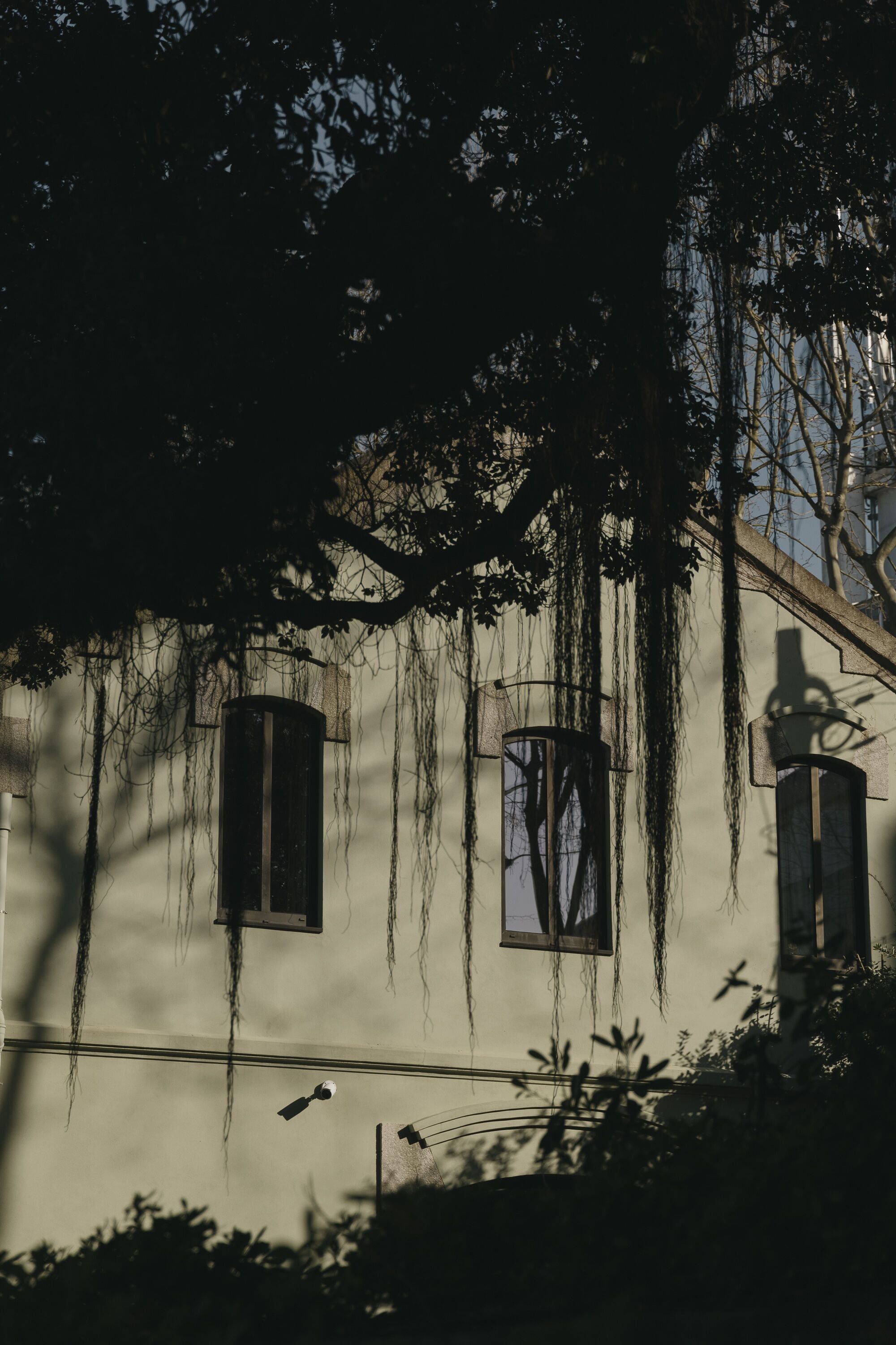 manor house garden suite | view from room