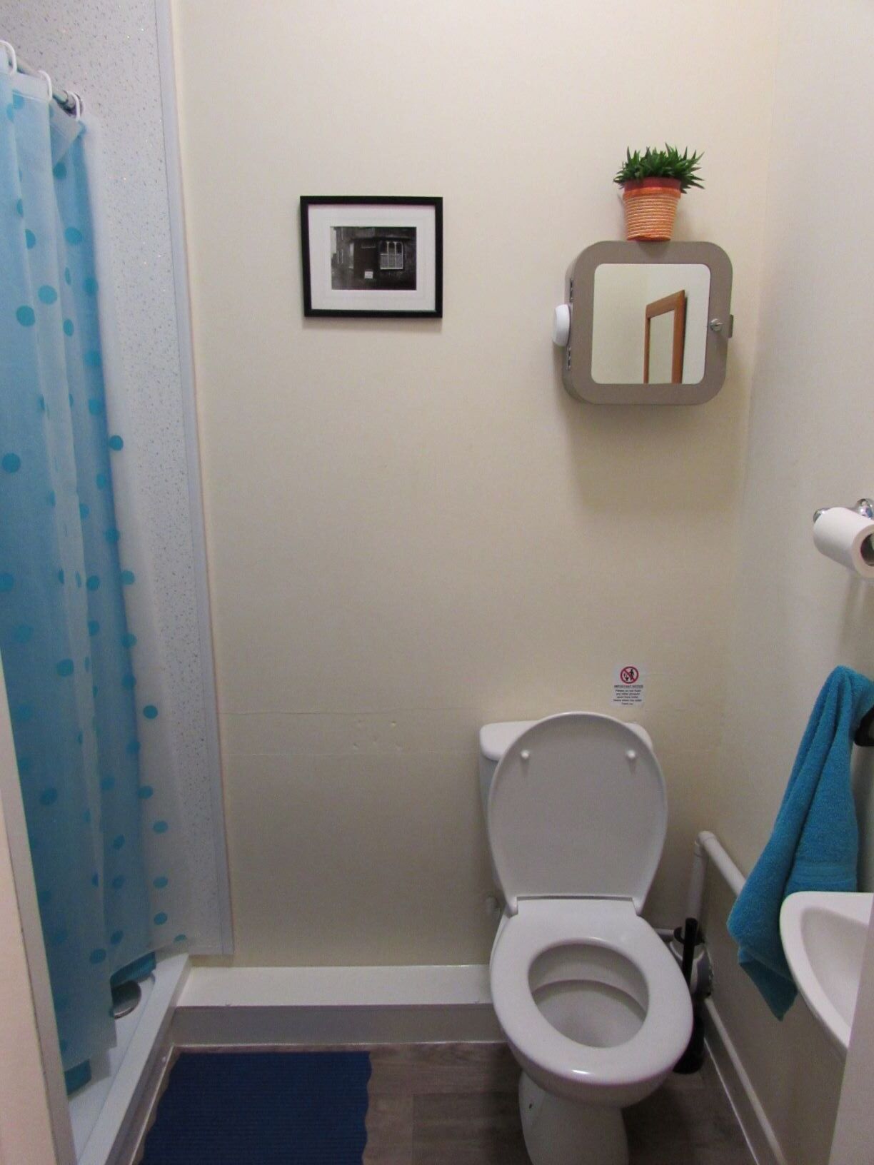 Une petite salle de bain comprenant des toilettes, un lavabo, un rideau de douche, un tableau encadré et une plante en pot.
