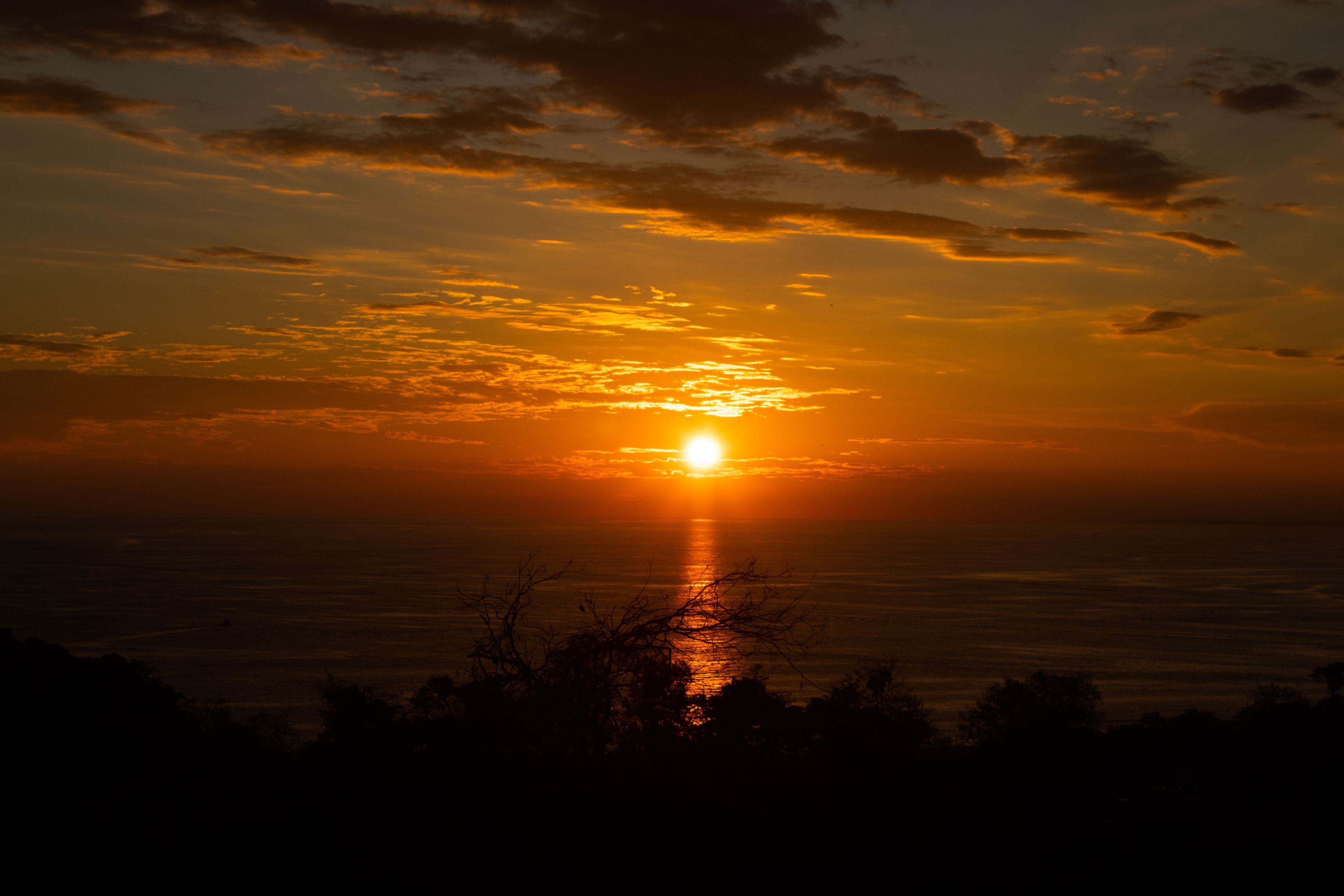 Foto - Pura Natura Lodge
