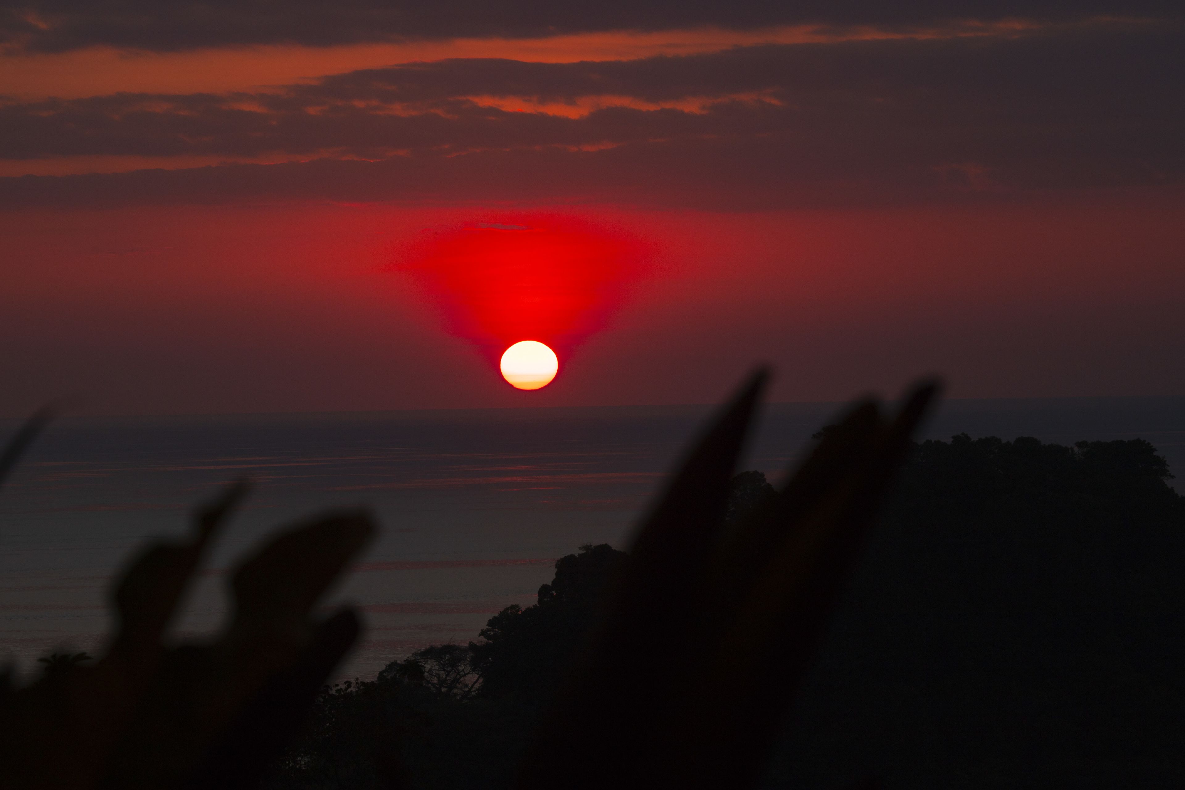 Foto - Pura Natura Lodge