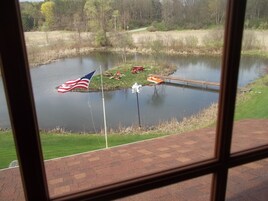 Vista desde la habitación