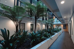 A modern indoor corridor with artificial plants, white walls, and a wooden floor. - The Edgerley Suites (Auckland)