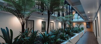 더 에드걸리 스위트