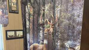A bathroom with a deer-themed shower curtain, framed artwork on the wall, and a trash can.