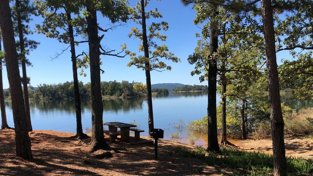 A lakeside campsite with picnic tables and a clear view of the lake and surrounding trees.