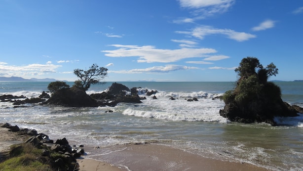 Uma praia com afloramentos rochosos e árvores, céu claro e ondas calmas.