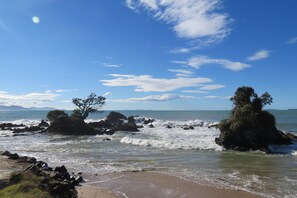 Ein Strand mit Felsen, Bäumen, blauem Himmel und ruhiger Wellen.
