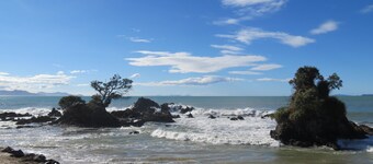 Lovely Beach Bach Retreat