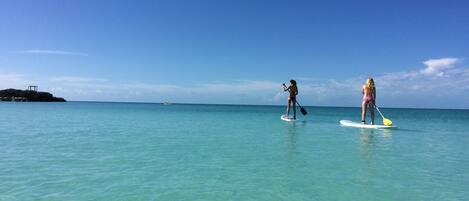 Two people paddleboarding on a clear turquoise sea with a small island in the background.