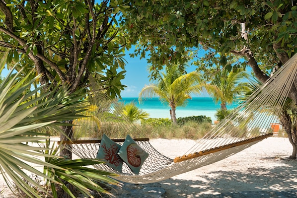 A hammock on a sandy beach with a view of the ocean and palm trees.