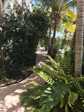 Áreas de la propiedad