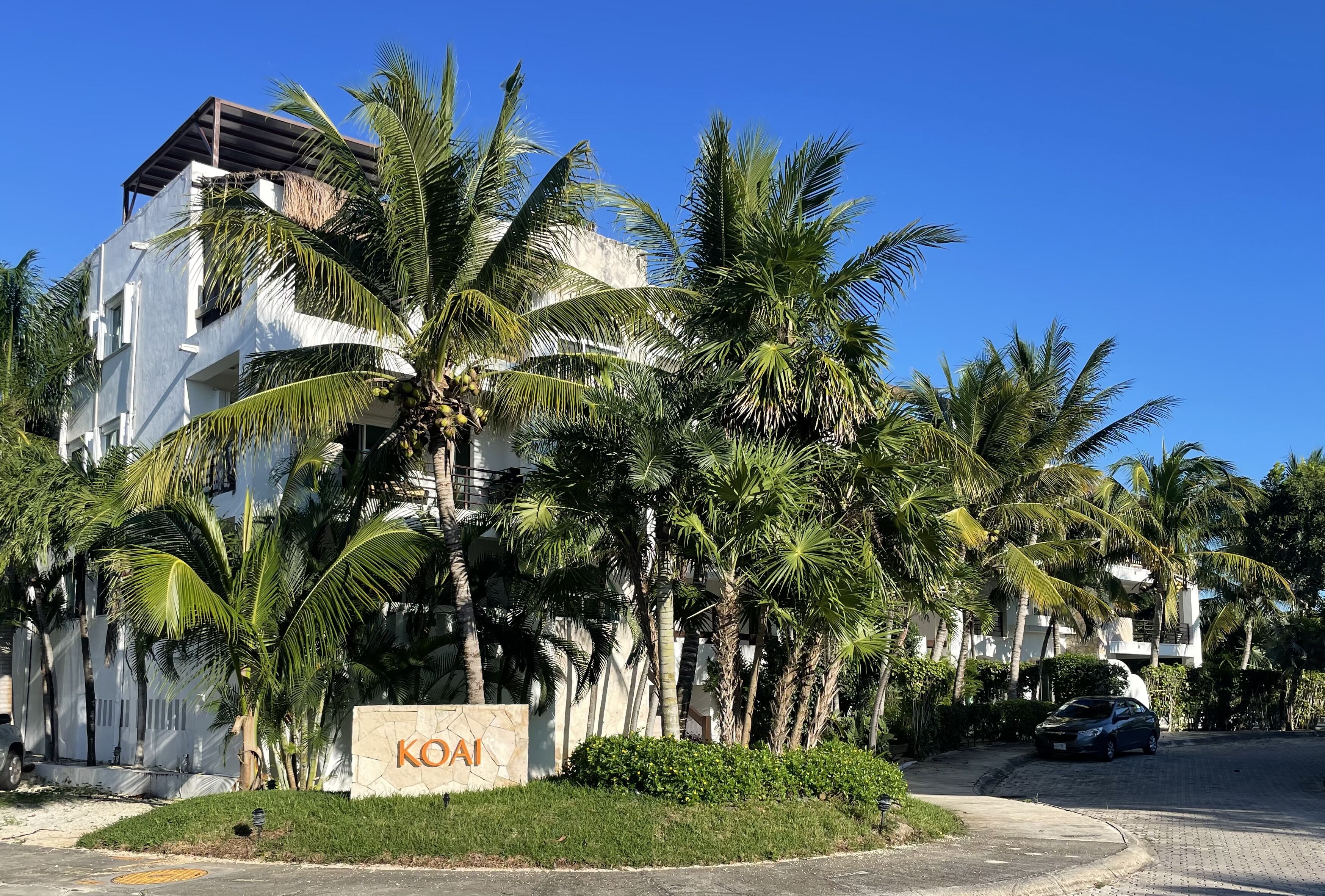 Front of the condo building surrounded by palms. 2A is right in the middle.