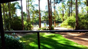 Property grounds - Nature on your doorstep - Kangaroo Creek Chalets -  birds kangaroos...relax! (Pemberton)
