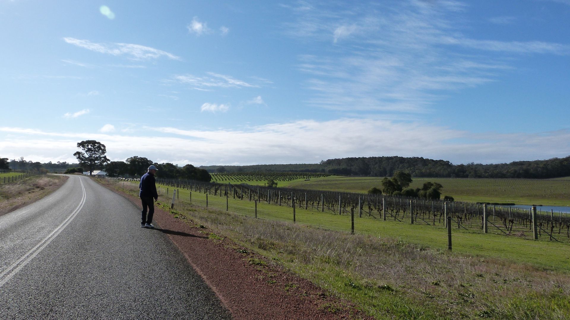 A rural road with a vineyard on one side and a person standing by the roadside.