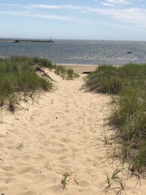 A sandy beach path leading to the ocean with grass on either side. - Seaside Cozy Wellfleeter Cottage on Mayo Beach with 400 feet of private beach (Wellfleet)