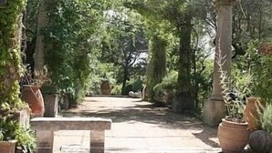 Un sendero de piedra que atraviesa un jardín con macetas y una estructura de pérgola.