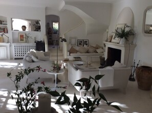 TV connectée, cheminée, lecteur de DVD, livres