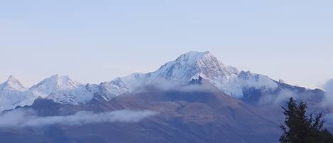 A mountain range with snow-capped peaks and a forested foreground.