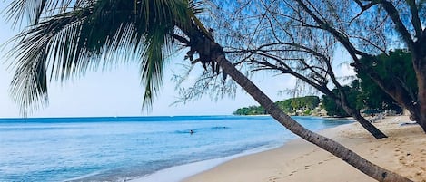 Playa en los alrededores, sombrillas y toallas de playa