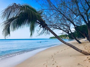 Plage à proximité, parasols, serviettes de plage