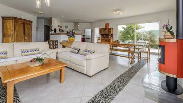 TV connectée, cheminée, lecteur de DVD, livres