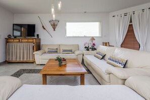 Una Smart TV, una chimenea, un reproductor de DVD, libros