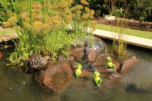 Fountain - Seasons of Maleny B&B (Maleny)