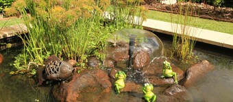 Seasons of Maleny B&B