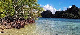 Terra Nova El Nido - enskilda lyxvilla - W / ISLANDS TOURS