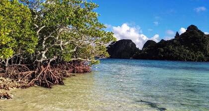 Terra Nova El Nido - individual Luxury Villas - W/ISLANDS TOURS