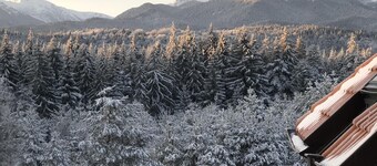 Cozy 3 bedrooms apartment sleeping 6 or 8