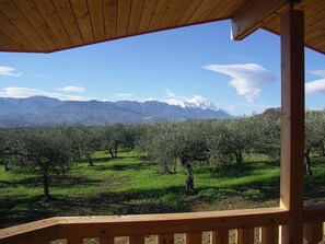 An outdoor view from a wooden balcony with a vineyard and mountains in the background. - Log house Loreto Aprutino Villla (Loreto Aprutino PE)