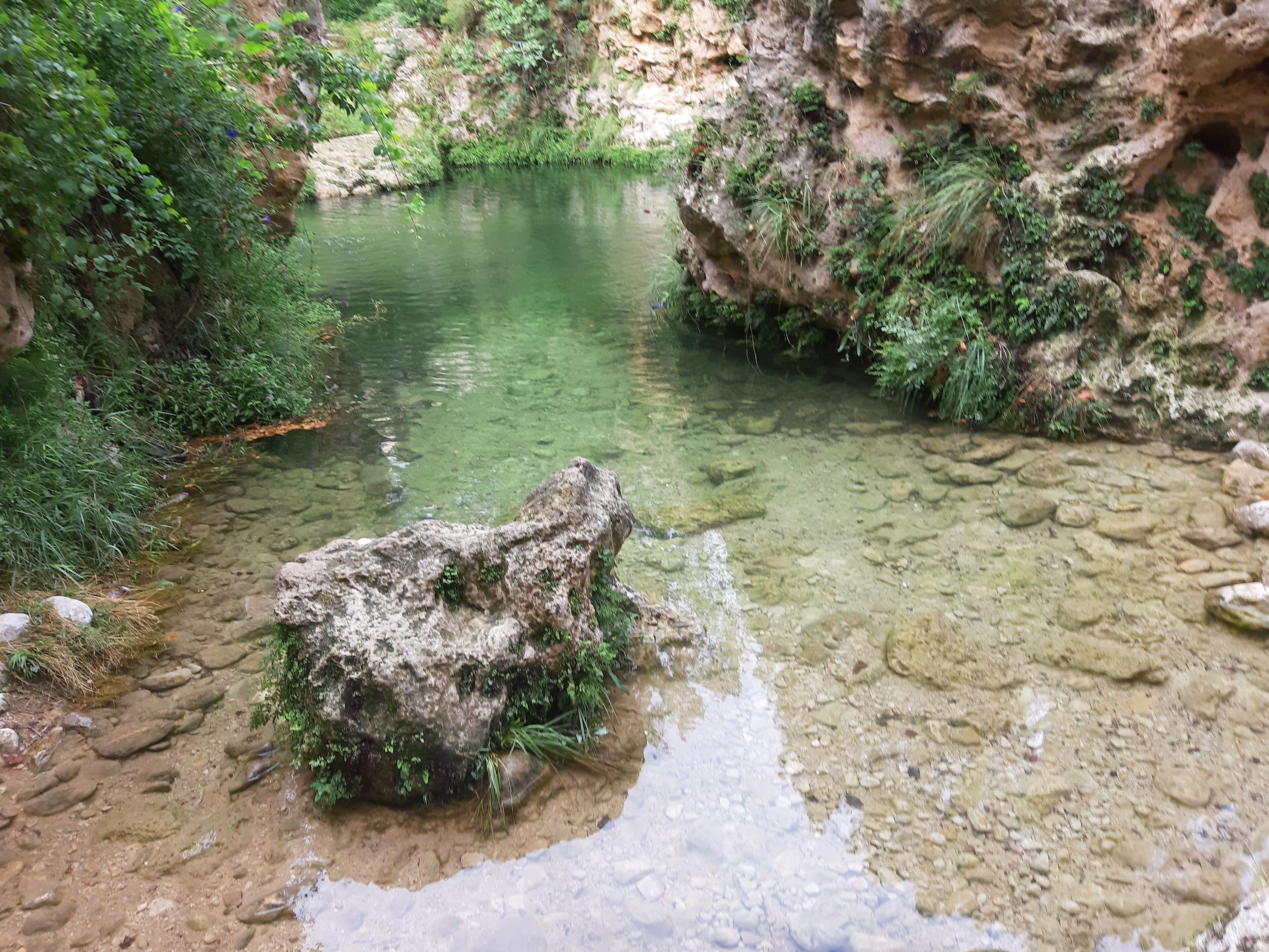 Una piscina natural envoltada de terreny rocos i vegetació.