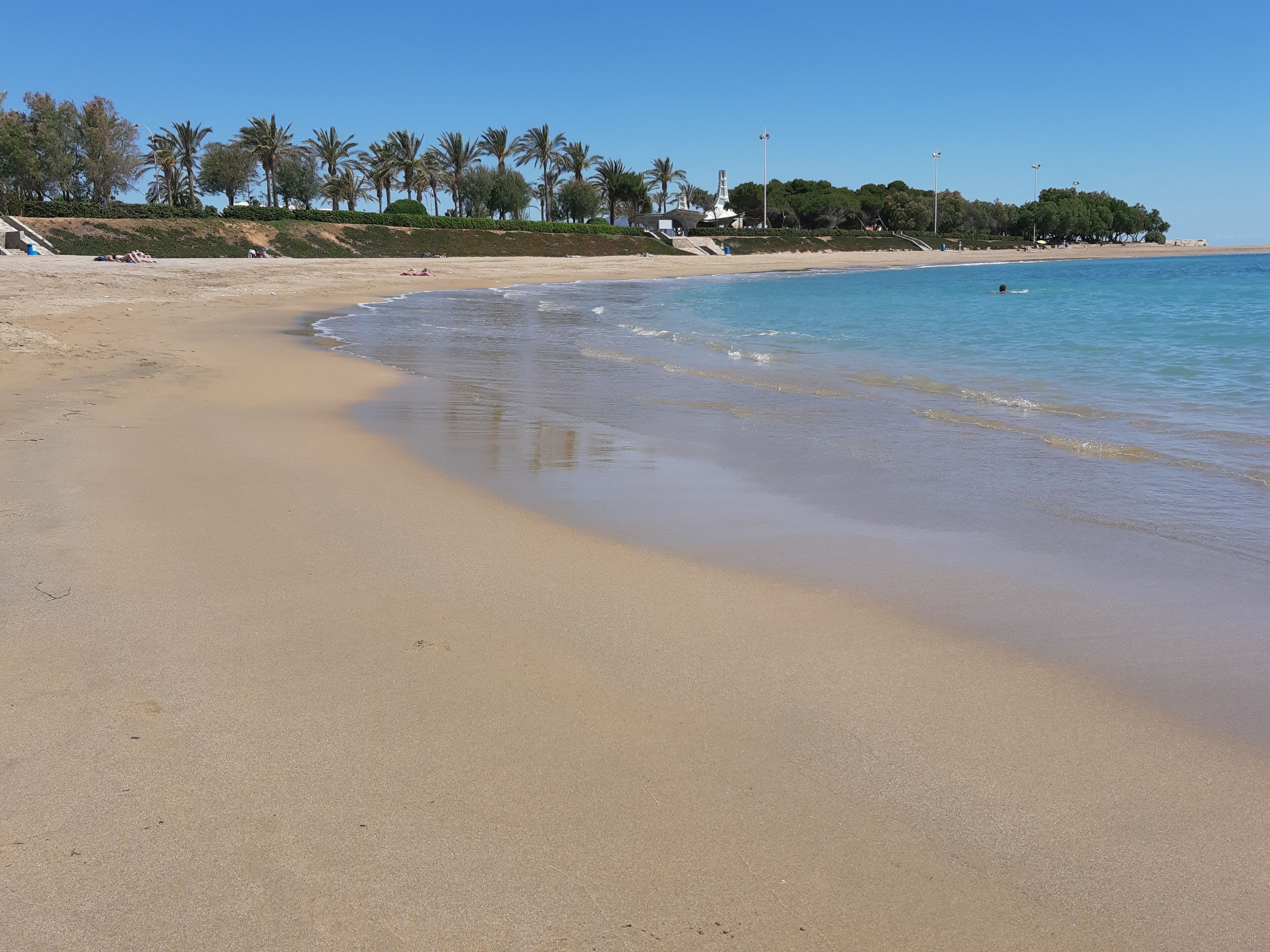 A sandy beach with gentle waves, a clear sky, and a line of palm trees in the background.