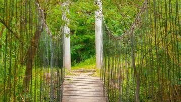 Un puente colgante de madera rodeado de exuberante vegetación.